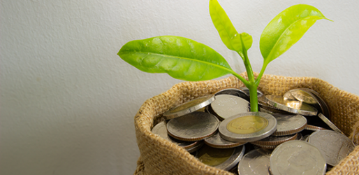 PF Provident Fund Valuation
